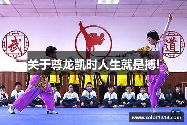 关于尊龙凯时人生就是搏!